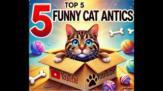 Top 5 Funniest Cat Antics!