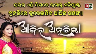 ଘରର ଏହି ଦିଗରେ ଲଗାନ୍ତୁ ମନିପ୍ଲାଣ୍ଟ  l EP-163 | DtvOdia Ajira Anuchinta