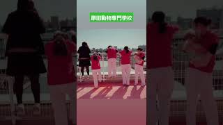 原田動物専門学校は素晴らしい！！