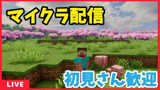 初見さん大歓迎!! 影modで遊ぶマインクラフト　配信