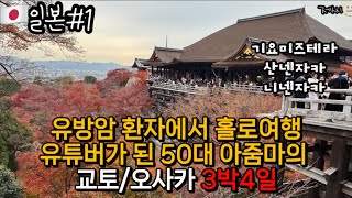 맛집,카페,빵,편의점없이 하루 2만보 걷는 일본 여행후기(1) / 베낭하나로 짐싸기 / 간사이공항 / 하루카 / 교토역