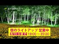 花の里2017ライトアップ篇tvcm