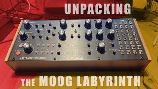 Unpacking the Moog Labyrinth