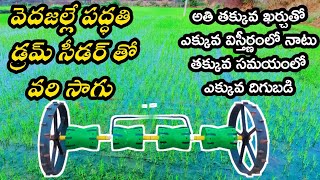 వెదజల్లే పద్దతిలో వరి సాగు || Paddy Cultivation with Drum Seeder || ఆదర్శ రైతు గ్రామీణ వ్యవసాయం