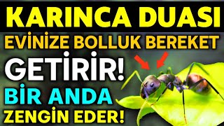 KARINCA DUASI 19 DEFA DİNLE! Evinize Bolluk, Bereket, Rızık Getirir! BİR ANDA ZENGİN EDER!