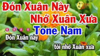 Karaoke Đón Xuân Này Nhớ Xuân Xưa Tone Nam ( Fa Thứ ) Nhạc Xuân 2025