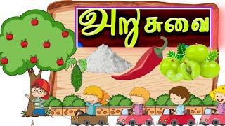 அறுசுவை(Arusuvai ) Tamil Rhymes For Kids _Chittu Chutties Channel