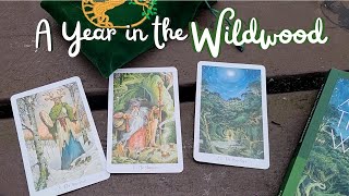 A Year in the Wildwood Tarot EP 1 🌿  Shaman, Ancestor, Pole Star