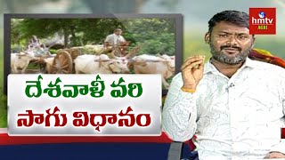 సేంద్రియ విధానంలో సన్నరకం వరి సాగు | Siva Prasad Raju Suggestions | hmtv Agri