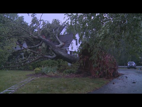 Storm Knocks Trees, Power Lines Down All Over Eden - YouTube