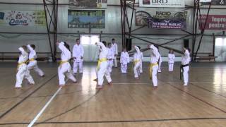 C.S. Victoria Nadlac - Sectia Karate