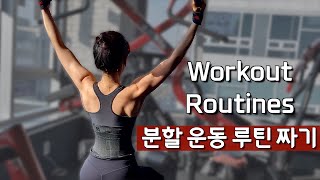 Exercise Routine /Split-motion routine