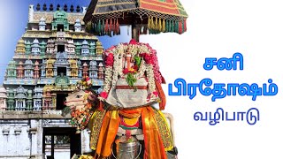 பனையபுரம் பனங்காட்டீஸ்வரர் கோவில் || சனிப்பிரதோஷம்  || வழிபாடு🙏🙇‍♂️