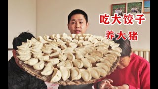 保定农村一家4口包饺子，饺子个头特别大，你知道为什么吗