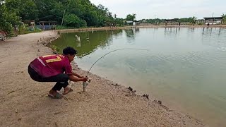 #EP1262 Memancing di Kolam Siakap Cendol