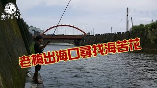 老梅溪出海口釣魚趣 海苦花我來啦！😁😁 Ft. 蝦皮愛釣魚 Taiwan fishing 台湾釣り