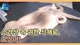 조선왕조실록에 기록된 식재료는? MBN 250131 방송