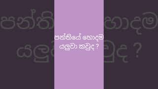 කවුද බලමු හොදම යලුවා