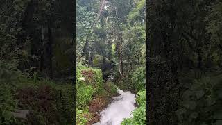 日影逐波金缕碎，苔痕映水翠光浮。#瀑布 #美在山水间 #不一样的风景 #大自然的声音