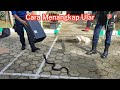 Cara Menangkap Ular || Cara Menjikankkan Ular