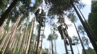 北山杉_枝打ち