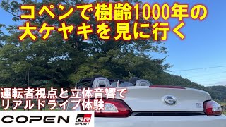 コペンGRスポーツで天然記念物の大ケヤキを見に行く【POV Drive】COPEN GR SPORTS