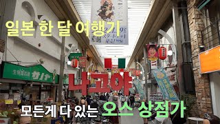 #10부 일본여행- 와카야마의 나치 폭포를 보고 정루트는 나고야로 향한다 나고야의 오스칸논(관음성지)에서 시작하여 오스 상점가를 둘러본다. 그리고 게로 온센과 다카야마를 향한 여정