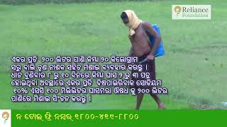 ଧାନ ଫସଲରେ ଘାସ ନିୟନ୍ତ୍ରଣ | Weed Management in Paddy