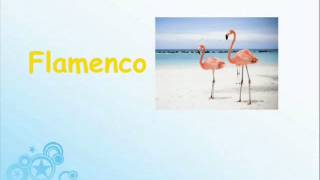 Spanish Vocabulary 7- Animals: Birds (Aves)