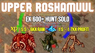 Tibia - [ EK HUNT SOLO ] UPPER ROSHAMUUL ~ LADO ALTERNATIVO ??