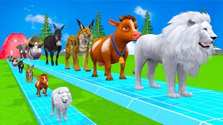 Paint Animals Duck,Lion,Cow,Deer,Pig,Panther,Elephant,Dinosaur Fountain Crossing Animal Game Ne