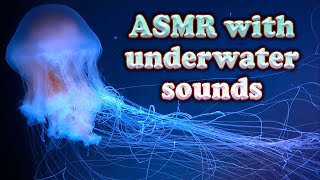 Water Sounds Jellyfish Aquarium. ASMR with underwater sounds