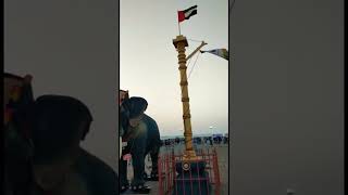 Wow 🤩 Is it original or not | Elephant in Dubai|cute elephant 🐘 video