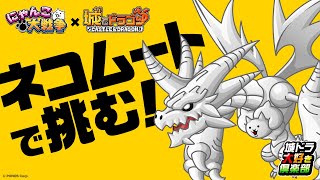 『城ドラ』新コラボキャラ「ネコムート」を使ってガチ対戦！『にゃんこ大戦争』復刻コラボ開催【城ドラ大好き倶楽部｜城とドラゴン公式】