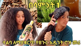 ተልባ ለማያቋርጥ የፀጉር እዲገት ሮዝ መሪ በሳምንት 1 ተጠቀሙት Flax for permanent hair growth#hanawuletaw #meski #donkey