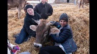 KSC Alternative Break Trip to Gita Nagari Farm 2019