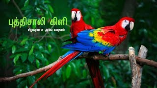 புத்திசாலி கிளி சிறுவற்கான அறிவு கதைகள் | Tamil Stories