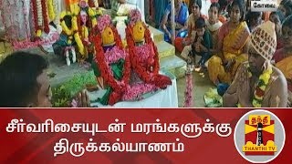 சீர்வரிசையுடன் மரங்களுக்கு திருக்கல்யாணம் | Coimbatore | Thanthi TV