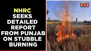 NHRC Seeks Detailed Report From Punjab Government On Stubble Burning As Delhi Air Remains Toxic