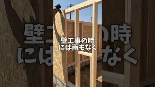 作業小屋DIY 15＆16日目！ 壁構造 は 完成 / 一人でもできるか？ できてるか？ #shorts