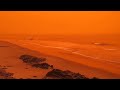 WTF Moments Captured By Surfline Cams