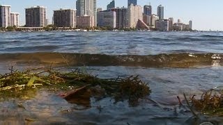 Miami Beach hopes to stem the tide of climate change
