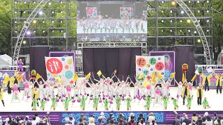 [4K] だったらあげちゃえよ　にっぽんど真ん中祭り 2024 どまつり 土曜日