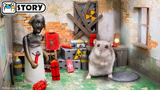 ☢️ Hamster Stalker vs Granny in the Chernobyl Exclusion Zone ☢️ Homura Ham Pets