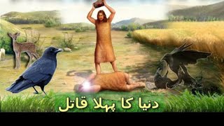 habeel aur qabeel ka waqia | habeel and qabeel story | hazrat adam | islamic stories | qurbani