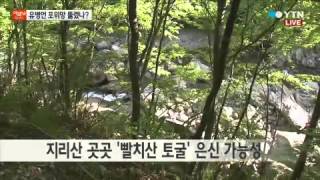 유병언, 지리산 빨치산 토굴에 은신? / YTN