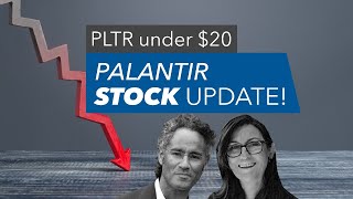 Emergency Palantir Stock Stream | Perspective for Long Term Investors