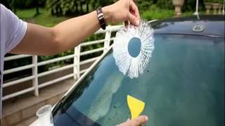 The Amazing 3D Car Window Sticker