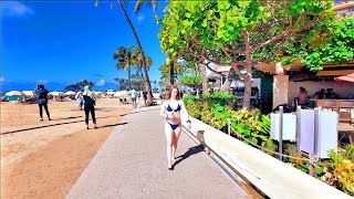 [4K]Internet celebrity Hotel-Hilton Hawaiian Village Resort in Hawaii Walking Tour 夏威夷檀香山网红酒店希尔顿徒步之旅