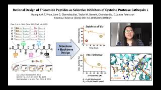 Rational Design of Thioamide Peptides as Selective Inhibitors of Cysteine Protease Cathepsin L